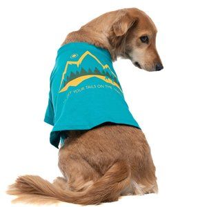 Fetch The Sun Dog Shirt | Teal, Hiking Organic Cotton, with Snaps